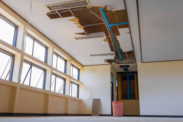 Best Basement water damage restoration  in Gladewater, TX