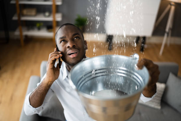 Best Water damage contractors near me  in Gladewater, TX