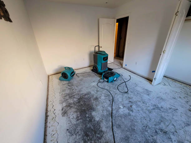 Best 24/7 water damage repair  in Gladewater, TX