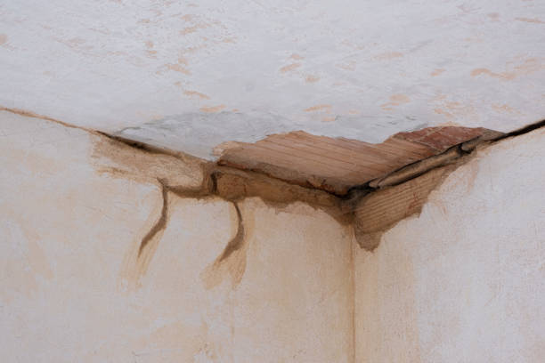  Gladewater, TX Water damage restoration Pros