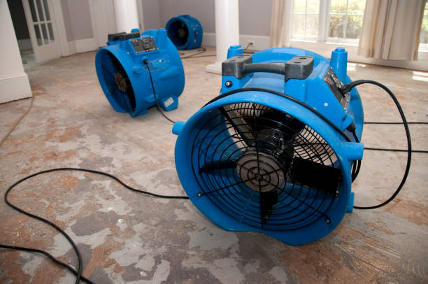 Best 24-hour water damage restoration  in Gladewater, TX