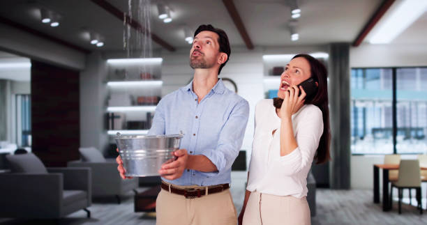Best Water damage mitigation services  in Gladewater, TX