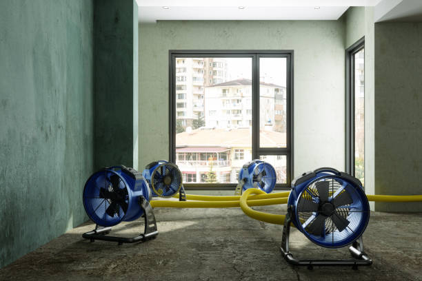 Best Local water damage restoration  in Gladewater, TX