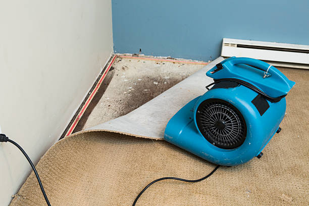 Gladewater, TX Water damage restoration Company